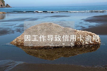 因工作导致信用卡逾期 因工作导致信用卡逾期