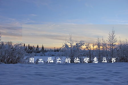 因工死亡的法律意见书 因工死亡的法律意见书