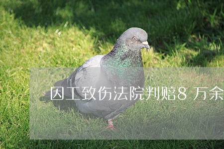 因工致伤法院判赔8万余元 因工致伤法院判赔8万余元