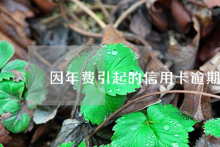因年费引起的信用卡逾期 因年费引起的信用卡逾期