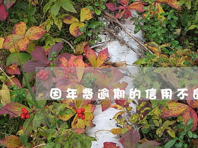 因年费逾期的信用不良能改吗 因年费逾期的信用不良能改吗