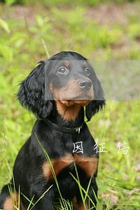 因征信逾期被冻结了信用卡