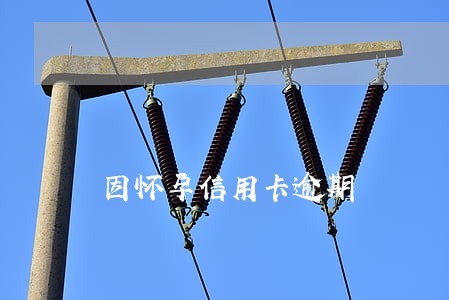 因怀孕信用卡逾期