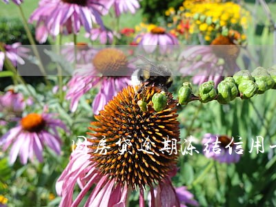 因房贷逾期冻结信用卡 因房贷逾期冻结信用卡