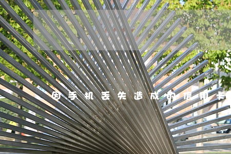 因手机丢失造成的信用卡逾期 因手机丢失造成的信用卡逾期