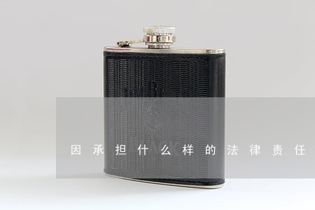 因承担什么样的法律责任 因承担什么样的法律责任