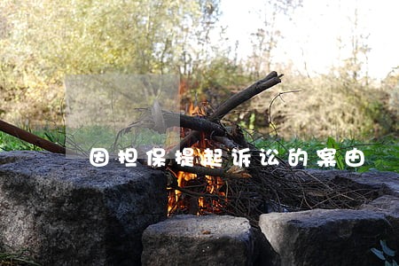 因担保提起诉讼的案由 因担保提起诉讼的案由