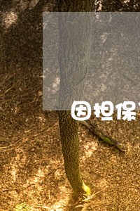 因担保贷款逾期被停职 因担保贷款逾期被停职