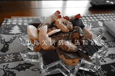 因拖欠房贷被法院拍卖