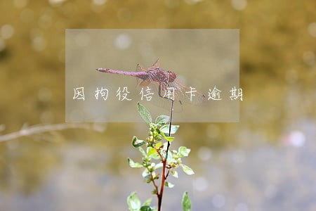 因拘役信用卡逾期 因拘役信用卡逾期
