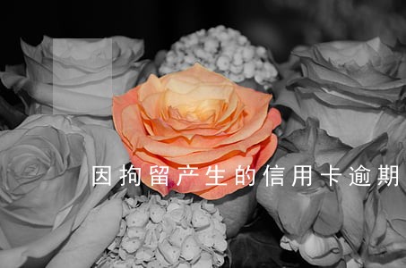 因拘留产生的信用卡逾期 因拘留产生的信用卡逾期