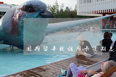 因拘留导致信用卡逾期怎么办 因拘留导致信用卡逾期怎么办