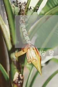 因拘留造成网贷逾期 因拘留造成网贷逾期