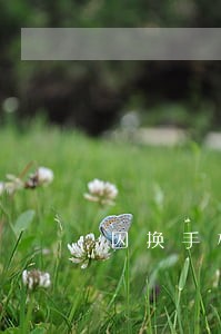 因换手机号信用卡逾期 因换手机号信用卡逾期