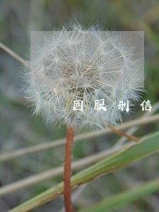 因服刑信用卡逾期可否免息