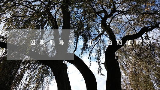 因服刑导致信用卡逾期能解除 因服刑导致信用卡逾期能解除