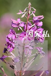 因欠私人钱被法院强制执行 因欠私人钱被法院强制执行