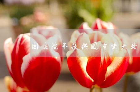 因法院不提供国有资产处置单 因法院不提供国有资产处置单