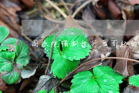 因法院强制执行后引起的案件 因法院强制执行后引起的案件