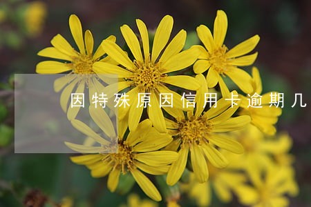 因特殊原因信用卡逾期几天 因特殊原因信用卡逾期几天
