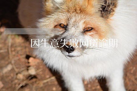 因生意失败网贷逾期 因生意失败网贷逾期
