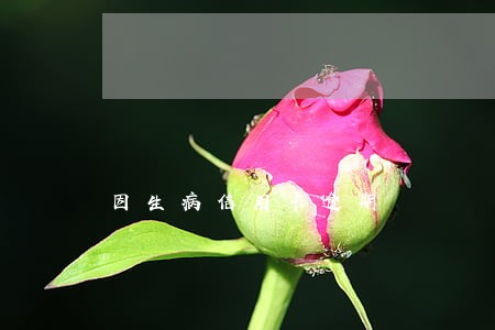 因生病信用卡逾期 因生病信用卡逾期