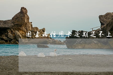 因生病信用卡逾期还不上怎么办 因生病信用卡逾期还不上怎么办