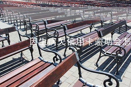 因生病欠信用卡逾期会怎么办 因生病欠信用卡逾期会怎么办
