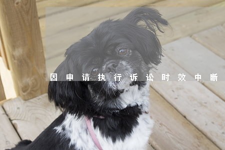 因申请执行诉讼时效中断 因申请执行诉讼时效中断
