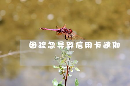 因疏忽导致信用卡逾期