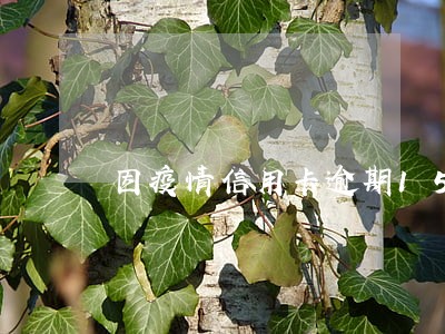 因疫情信用卡逾期15天停卡 因疫情信用卡逾期15天停卡