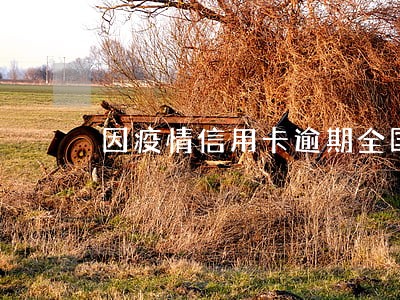 因疫情信用卡逾期全国有多少人 因疫情信用卡逾期全国有多少人