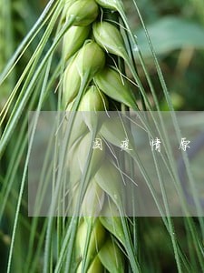 因疫情原因网贷逾期爆通讯录