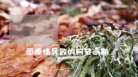 因疫情导致的网贷逾期 因疫情导致的网贷逾期