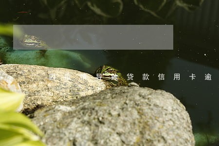 因疫情导致贷款信用卡逾期 因疫情导致贷款信用卡逾期