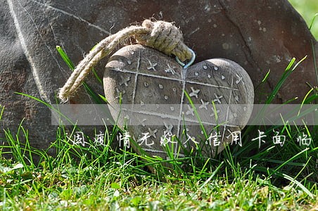 因疫情无收入信用卡面临逾期 因疫情无收入信用卡面临逾期