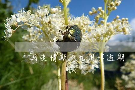 因疫情期间信用卡逾期