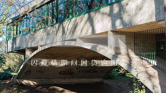 因疫情期间网贷逾期怎么申诉 因疫情期间网贷逾期怎么申诉