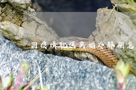 因疫情耽误离婚冷静期怎么办 因疫情耽误离婚冷静期怎么办