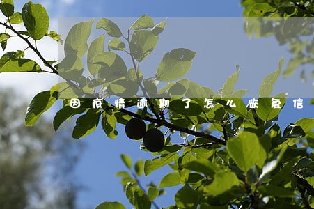 因疫情逾期了怎么恢复信用