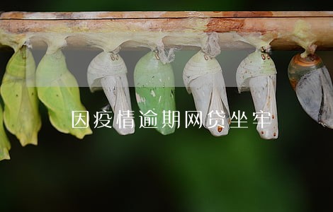 因疫情逾期网贷坐牢 因疫情逾期网贷坐牢