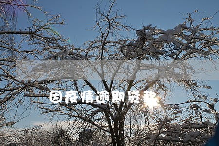 因疫情逾期贷款 因疫情逾期贷款