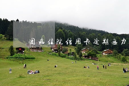 因病住院信用卡逾期无力偿还