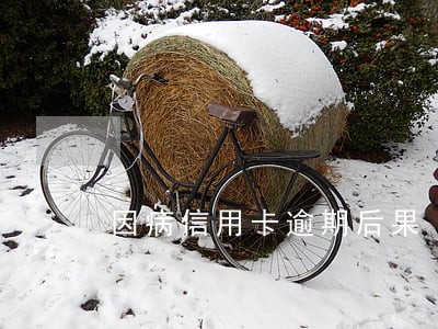 因病信用卡逾期后果 因病信用卡逾期后果