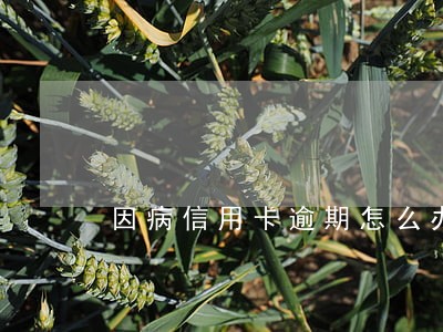 因病信用卡逾期怎么办 因病信用卡逾期怎么办
