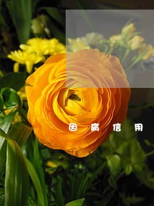 因病信用卡逾期怎么答辩 因病信用卡逾期怎么答辩