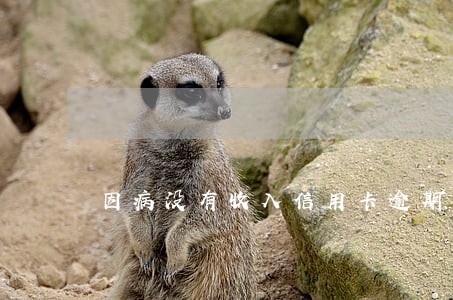 因病没有收入信用卡逾期 因病没有收入信用卡逾期