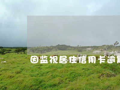 因监视居住信用卡逾期会咋样 因监视居住信用卡逾期会咋样