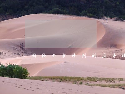 因经济案件判刑后导致信用卡逾期 因经济案件判刑后导致信用卡逾期