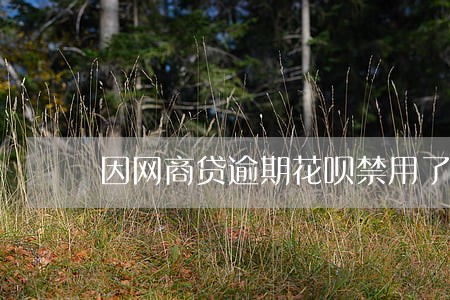 因网商贷逾期花呗禁用了咋办 因网商贷逾期花呗禁用了咋办